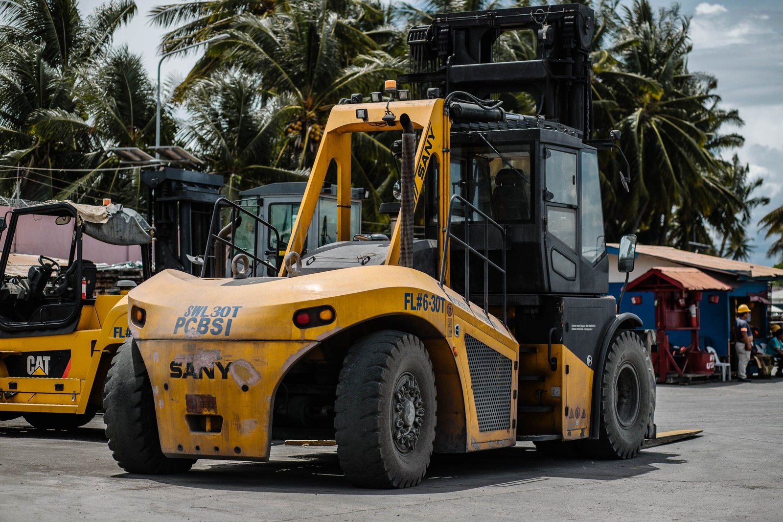 Home Heavy-duty forklift parked among tropical palm trees in a sunny storage area.